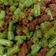 Cooksnap dari Ellya Khristi untuk resep Tumis Buncis Daging Cincang