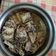林昭淵 的 簡單的豆豉燜苦瓜 cooksnap