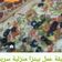 صورة من #Samo#، شاركها بعد تجربة وصفة البيتزا