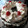 El cooksnap de carlacarvalho_z cuando hizo Torta de coco y chocolate (Microondas).