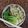 Cooksnap dari reny arila untuk resep Easy Juicy Steam Chicken dengan saus daun bawang