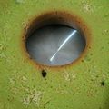 Cooksnap dari hanni lubis untuk resep Bolu Pandan Keju (tanpa bahan pengembang)