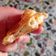 Cooksnap από 🍝🍕miss Marmelade(Στέλλα+Βαλέριο)🍩🥐 στη συνταγή Πιτάκια με τυρί και αλλαντικά με φύλλο καλιτσουνιού
