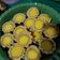 Cooksnap dari Sri Bidayati untuk resep Pie susu bali (resep chef farah Queen)