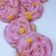 Cooksnap dari @AbangRezky_Agung untuk resep Kue Cantik / Jentik / Cente Manis Hunkwe Enak, Gurih dan Lembut