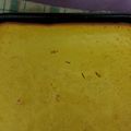 El cooksnap de Katty Pastorino (Tana) cuando hizo Torta de Naranja Licuada.