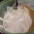 El cooksnap de Paula Mendoza cuando hizo Mayonesa casera☺en licuadora!!!.