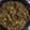 Cooksnap dari Gory untuk resep Bulgogi Sapi Jamur Tiram
