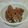 Cooksnap dari Mama YM untuk resep Ayam Goreng bumbu kelapa #BandungRecook_GiaCintaPermana
