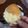 Cooksnap dari shofia ermirasari untuk resep Asian Soft Milk Bread ( roti tawar empuk )