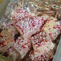 Elizabeth Bouknight's cooksnap of when they made Tinklee's Candy Cane Fudge.