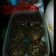 Cooksnap dari Ummi Azan untuk resep Donat Kampung Topping Keju #pr_adakejunya
