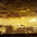 El cooksnap de rocio Hazya cuando hizo Chipa Guasu receta de Paraguay.