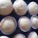 El cooksnap de Noelia Sanchez cuando hizo Magdalenas con aceite (Muffins, Cupcakes) rellenas de dulce de leche.