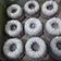 Cooksnap dari esti susilowayi untuk resep Putu Ayu Ubi Ungu