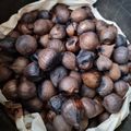 Cooksnap dari Julia"Revy" untuk resep Bawang Hitam Magic Com