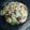 El cooksnap de Arturo De Vera cuando hizo Risotto verduras y jamón.