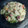 El cooksnap de Arturo De Vera cuando hizo Risotto verduras y jamón.
