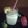 Khushboo Vora's cooksnap of when they made બનાના શેક (Banana Shake Recipe In Gujarati).