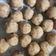 Poonam4 का कुकस्नैप जब उन्होंने मावे के लड्डू (mawe ke ladoo recipe in Hindi) बनाया था।