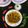 Sudipa Gope's cooksnap of when they made Mula Tangra (raddish with tangra fish) #win #Week 2.