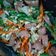 Cooksnap dari wulanandri untuk resep Sayur Orak Arik
