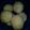shawntae's cooksnap of when they made Delicious Dinner Rolls.