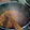 El cooksnap de Blaze Fuzi0nzZz cuando hizo Mi guiso de lentejas fácil.