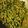Bhavya Sharma's cooksnap of when they made Masala Bhindi.