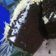 Cooksnap dari Nawiia Nov untuk resep Brownies kukus sederhana (no mixer)