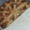 El cooksnap de anahiea cuando hizo 🥧 Tarta de acelga y ricotta 🥧.