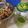 El cooksnap de juancacruzb cuando hizo Aderezo de cilantro. ॐ.