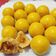 Cooksnap dari Dewi Nyonya Yarmedy untuk resep Nastar Lumer (Tanpa butter)