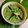 Shraddha Patel's cooksnap of when they made ગ્રીન ચટણી(green chutney recipe in Gujarati).