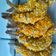 Cooksnap dari memey untuk resep Ebi Furai [Frozen]
