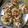 Samita's cooksnap of when they made Dahi Puri Chaat.