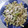 El cooksnap de Lola Sanchez Lerida cuando hizo Pollo Alfredo.