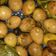 Cooksnap dari Dinda Sarasidia untuk resep Sate Telur Puyuh angkringan