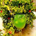 کوک اسنپ رز قرمز بعد از امتحان کردن شربت ریحان سبز و گل محمدی🌸.
