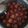 Ankita Kapil Varshney's cooksnap of when they made Gulab Jamun.