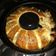 El cooksnap de Cecilia Galli cuando hizo Rosca de las Fiestas (salada).