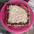 Cooksnap dari Laurensia Frandypta Ayu untuk resep Bolu pandan 2 telur tinggi maksimal lembut