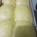 Cooksnap dari Indah habibiy untuk resep Potato Buns