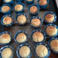 El cooksnap de adrialmi9 cuando hizo Muffin de coco fácil rápido.