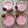 Shital Muranjan's cooksnap of when they made स्ट्रॉबेरी मिल्क शेक (strawberry milkshake recipe in marathi).