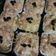 Cooksnap dari Bunda Anie untuk resep Puding Roti Tawar Panggang