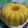 Cooksnap dari dias untuk resep Puding Nangka