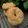 Cooksnap dari Retno Budiyanti untuk resep Simit - Turkish Sasame Bagel (Tanpa Ulen)
