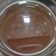 Ekta Rangam Modi's cooksnap of when they made વરિયાળી ની ગ્રીન આઈસ ટી (Variyali Green Ice Tea Recipe In Gujarati).