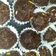 Cooksnap dari Putik Arianty untuk resep Marie Choco Balls